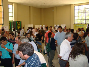 Molino de aceitunas TACSA